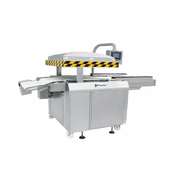 BT-800 Belted Type Vacuum Packaging Machine