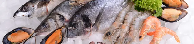 Rapid defrosters for fish and seafood COLDWAVE+