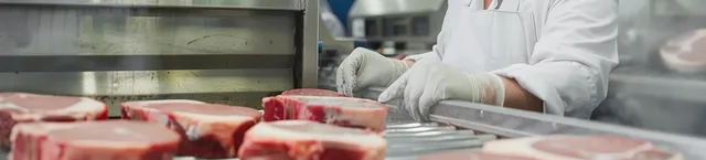 Rapid defrosters for meat COLDWAVE+