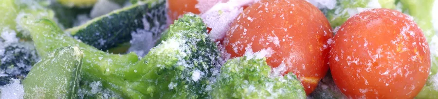 Rapid defrosters for vegetables, fruits and other products COLDWAVE+